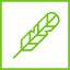 feather_icon