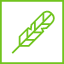 feather_icon